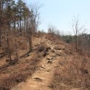 부모산성 Daum카페