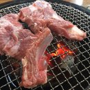 43갈비 이미지