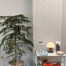 여주-1079 | 경기도 여주 카페 | 여주법원 앞 디저트 카페 추천 타르트 맛집 시즌 디저트 ‘햅커피(HAP COFFEE)'