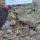 화천군수달연구센터 | [탐방] 화천군 수달연구센터