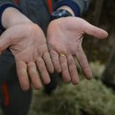 다람원2 이미지