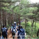 거진종합운동장 이미지