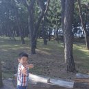 세준천사 이미지