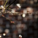 금호동주민자치센터 이미지