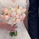 강진힐링하우스 | 하찮귀찮 모찌쿵야의 대충일기|본식재가봉|해남강진|청모|브로키|