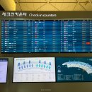 쉐어브릭 | [호주 워홀 w1] 브리즈번 도착, 텔스트라 개통, NAB 계좌 개설, 폭우 속 인스펙션, 웨스트엔드 마켓...