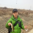 지그루브