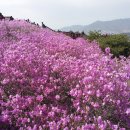 산돌농장 이미지