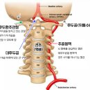 금정한의원 이미지