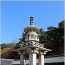 창녕옥야중학교 이미지