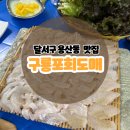 구룡포회 | [대구맛집] 달서구 용산동 맛집 추천 구룡포회 도매 / 내돈내산 솔직후기