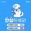 파이리코 이미지