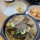 진마루감자탕 | [야구 후기] 한화생명이글스파크 111블럭 G열, H열 후기/진마루 감자탕 후기