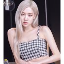 스킨보그 이미지