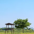 대구 여행 이미지