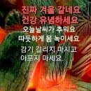 반가운 분들 뵐시간이......... 이미지