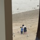 구봉수퍼 | 아이와 갯벌놀이도 하고 오션뷰까지 즐기는 대부도 카페, 카페메르