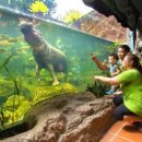 우리투어 이미지