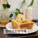 갤러리소연 이미지
