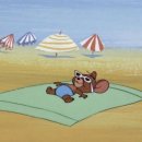 나나포차 | 夏(なつ🍀) summer staycation ; 강릉 씨마크 (seamarq) 호캉스 후기˖°𓇼🌊⋆🐚🫧