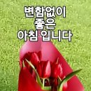 화요일 이미지