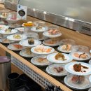청주 복대동 회전 초밥 맛집 스시하네 내돈내산 후기
