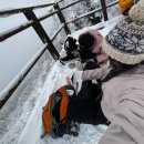 소백산 | 등린이 졸업한 줄 알고 소백산 갔다가 똥바람 맞은 후기(천동리-비로봉-어의곡리)