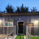 랩도그빌 이미지