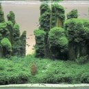 물속풍경 이미지