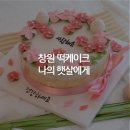 창원기념일케이크 나의햇살에게로 어른들께 칭찬받는 창원떡케이크 가게