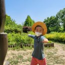 반석유치원 이미지