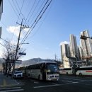 한국불교대학관음사 | 2026년 한국불교대학 대관음사 감포도량 정초 방생기도법회 동참 기록