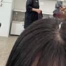 로벨르헤어 이미지