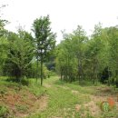 대왕농장2 이미지