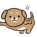 홀스랜드캠핑장 이미지
