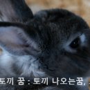 비서재준