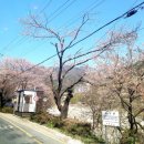 (주)동백여행사