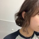 프로디헤어 | 제주 히피펌 잘하는 미용실 찾는다면 프로디헤어 방문후기