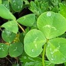 태주고물상 이미지