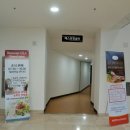 스테이 인 제주(stay in jeju) 이미지