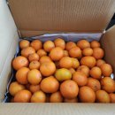 태승농장 이미지