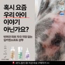 마케팅 부트캠프/퍼포먼스 마케터 취업 준비] 도와세움 디마에 93기 5주차 후기(2) - 말차 토네이도 드세요