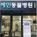 혜민동물병원 이미지