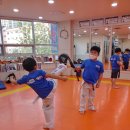 용인대 태권얍 이미지