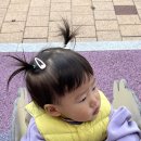 두림가발 이미지