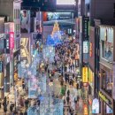 광복로겨울빛트리축제 티스토리