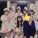 230409ㅣときめき♡春の晴れ舞台2023 공연 후기🌸