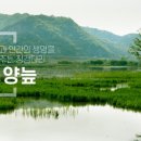 정양늪생명길 이미지