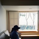 제주클래식위미 이미지