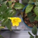 (주)푸르네 이미지